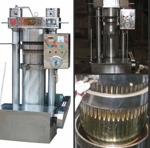 Hydraulic Cold Oil Press for Olive Sesame UGP-300