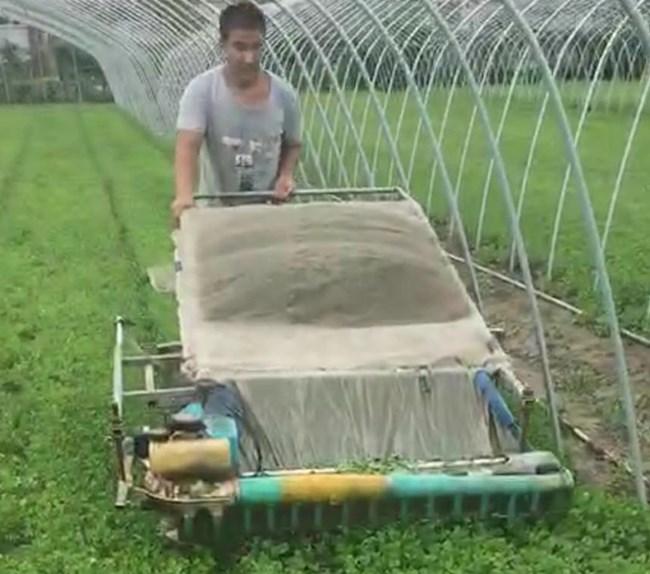 Salicornia cutting and harvesting machine