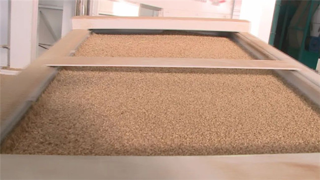 UGOOD Group assists Dalong Rice Industry