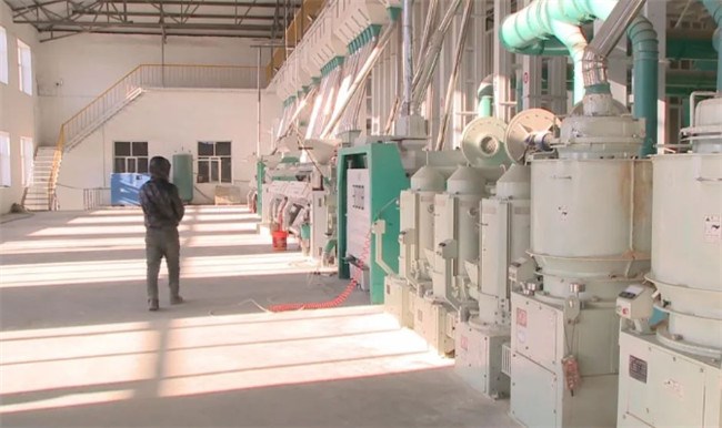 UGOOD Group assists Dalong Rice Industry