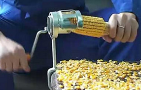 small corn thresher corn cobs