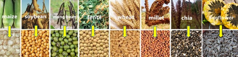 UGT-16L Soybean Multi-crops Thresher Paddy Quinoa Wheat Threshing Machine 