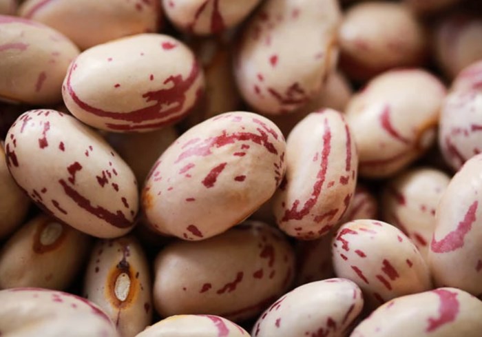 Beans Seeds Polishing Machine Polisher for Mung Bean Kidney Beans Castor Quinoa Seeds