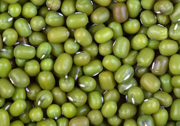 Beans Seeds Polishing Machine Polisher for Mung Bean Kidney Beans Castor Quinoa Seeds