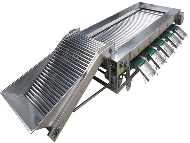 Fruits Vegetables Grading Sorting Machine with Rolling Bars for Dates Fruit