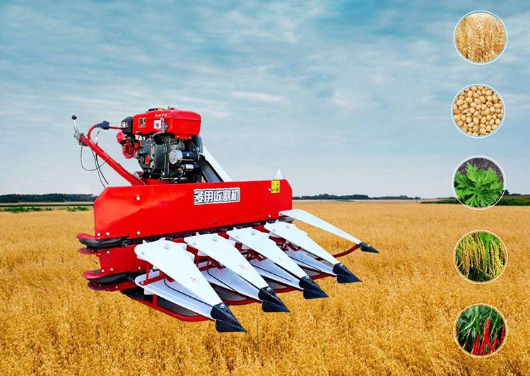 Wheat Paddy Harvester Small Harvester with Japan Brand Gasoline