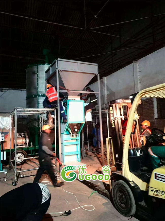 maize grain seeds automatic packaging scale